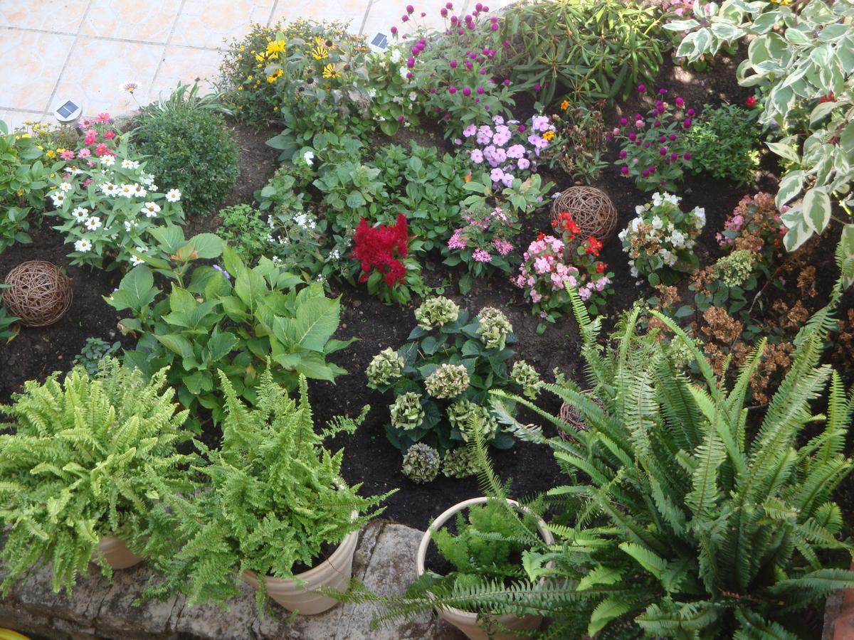 D'Ici Et D'Ailleurs Bed & Breakfast Cordes Sur Ciel Dış mekan fotoğraf