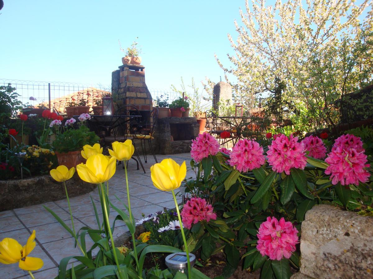 D'Ici Et D'Ailleurs Bed & Breakfast Cordes Sur Ciel Dış mekan fotoğraf